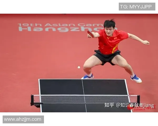 武汉乒乓球队员个人能力深度对比分析与发展潜力探讨 武汉乒乓球队员个人能力深度对比分析与发展潜力探讨