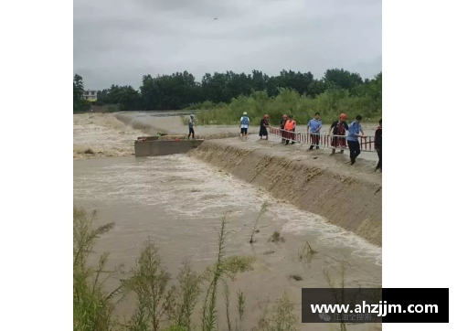 勇往直前：林敢不惧风水，直冲争强的桥梁