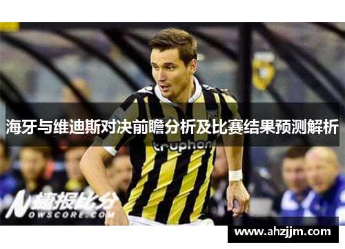 海牙与维迪斯对决前瞻分析及比赛结果预测解析